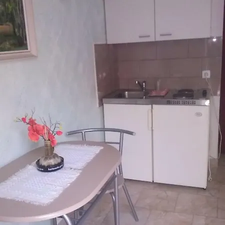 Apartments Vesna Ribarica Exterior photo