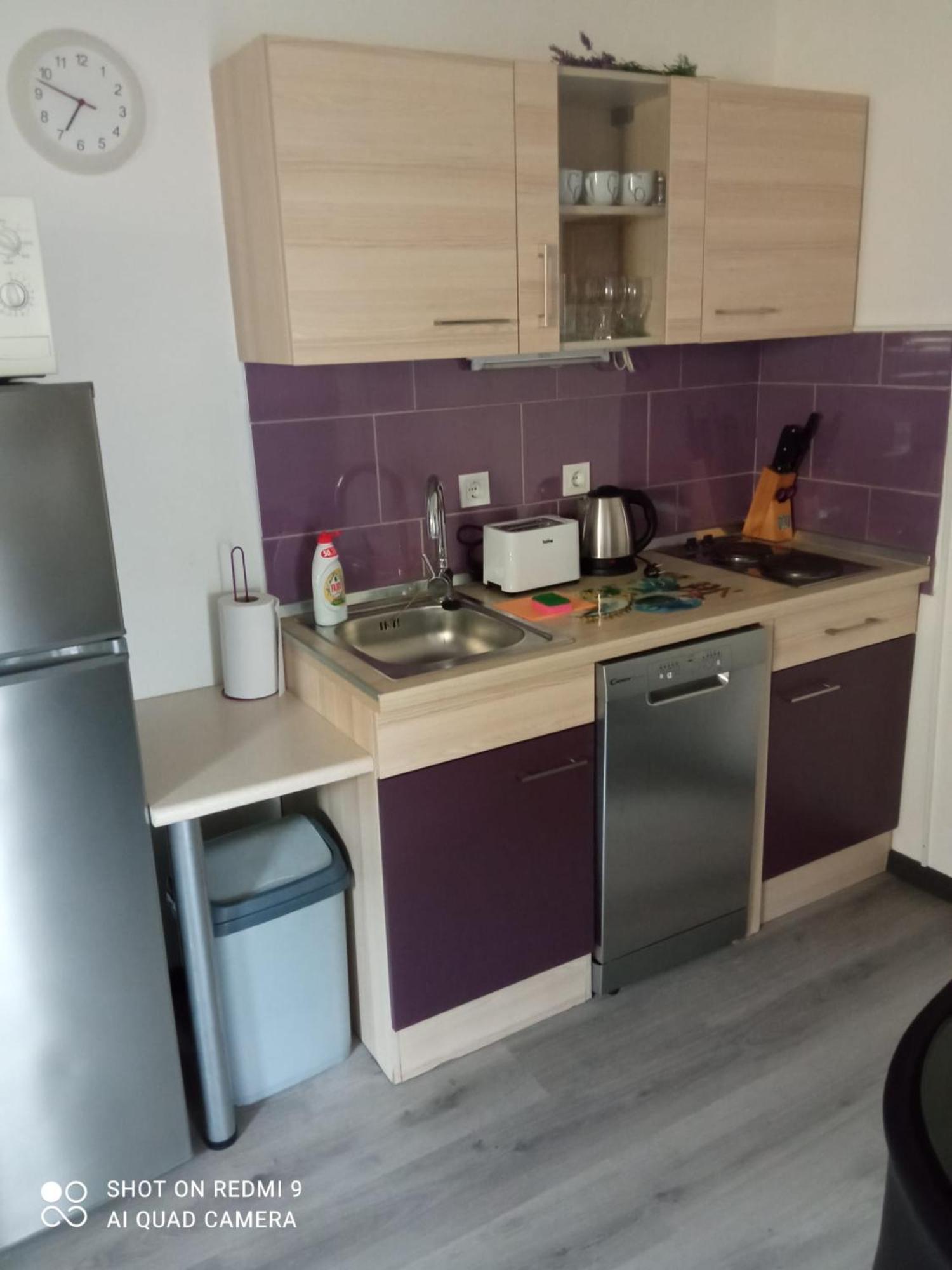 Vesna Apartment Ribarica