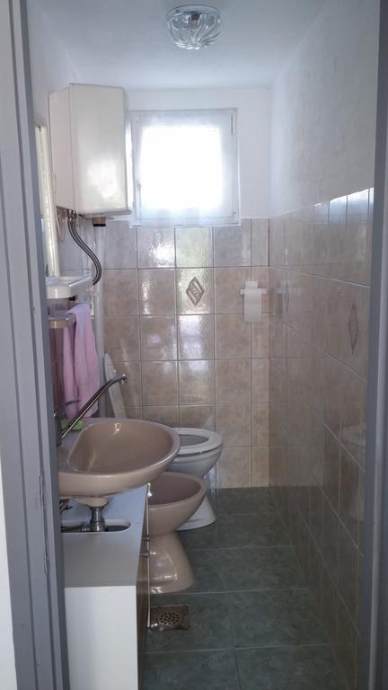 Vesna Apartment Ribarica